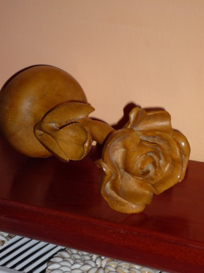 rózsa /2